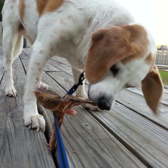 Meet your Posher, Peoples - Picture 3 of 4